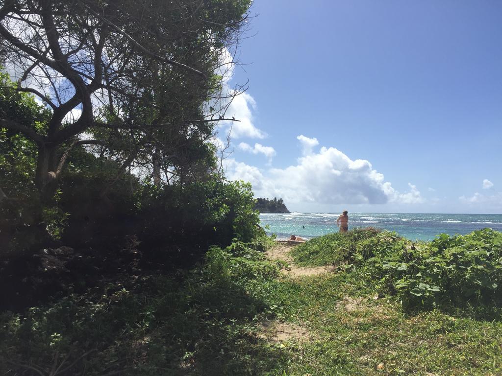 Location Guadeloupe Apartman Le Gosier  Kültér fotó