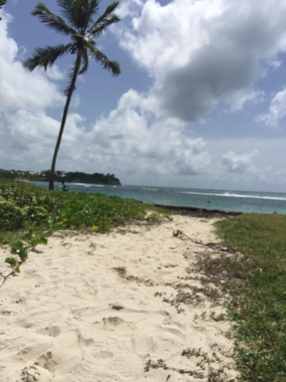 Location Guadeloupe Apartman Le Gosier  Kültér fotó